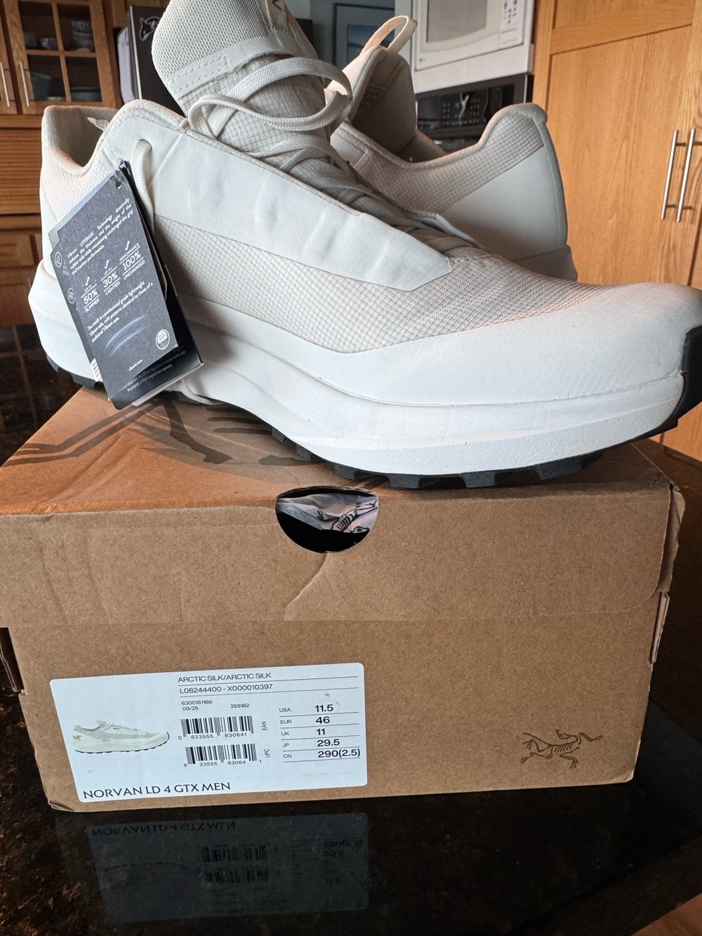 Arc'teryx Men's Norvan LD 4 GTX Sneakers in Arctic Silk White Size 11.5 NWT